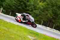 Brno;event-digital-images;motorbikes;no-limits;peter-wileman-photography;trackday;trackday-digital-images